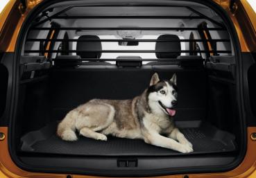 Dacia Duster II Trenngitter